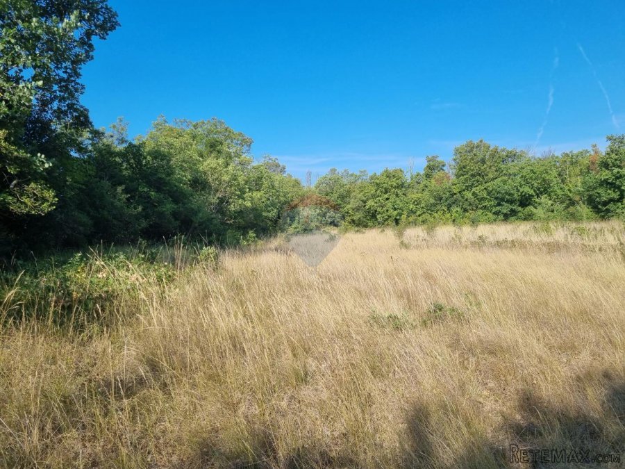 Šišan, poljoprivredno zemljište 6,316 m2