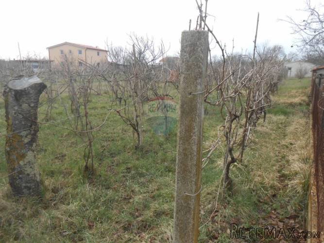 Istra,Fažana, Valbandon, lijepo građevinsko zemljište - 4