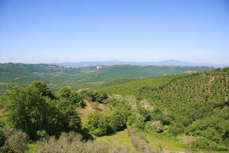 House - Umbria - For Sale - 2