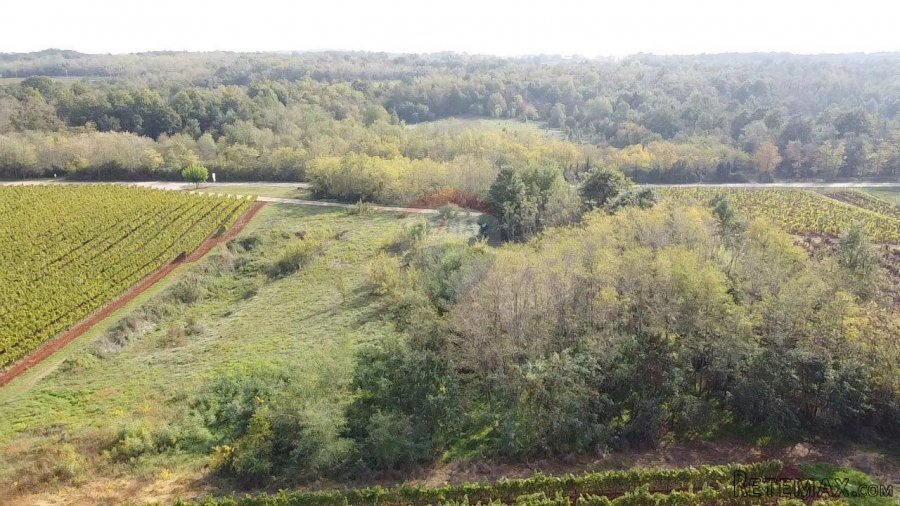 Istra, Vižinada okolica, negrađevinsko zemljište 8200 m2 - 2