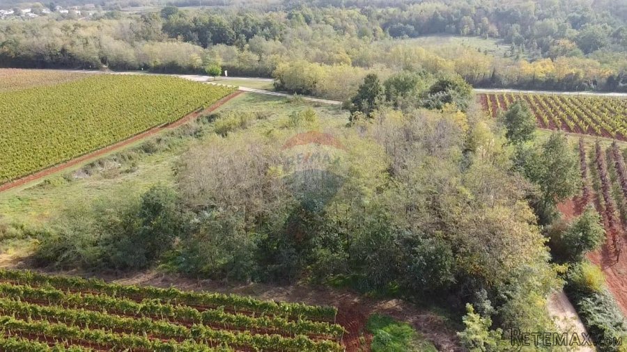Istra, Vižinada okolica, negrađevinsko zemljište 8200 m2 - 3