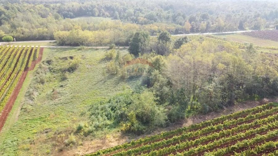 Istra, Vižinada okolica, negrađevinsko zemljište 8200 m2 - 4