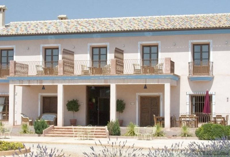 Rural hotel in Oliva - 2