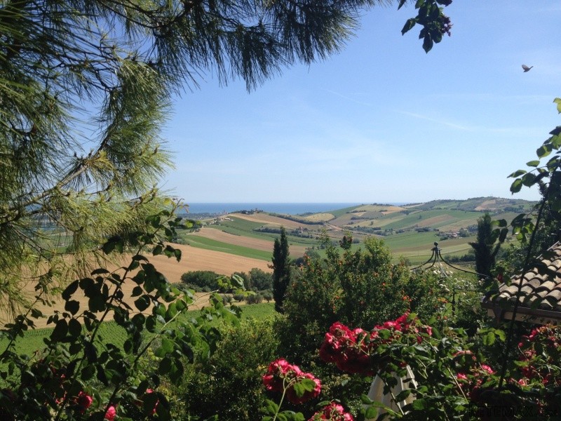 House - Marche - For Sale - 2