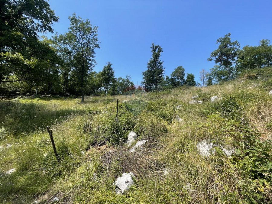 MATULJI, Mučići - Građevinsko zemljište 2000m2