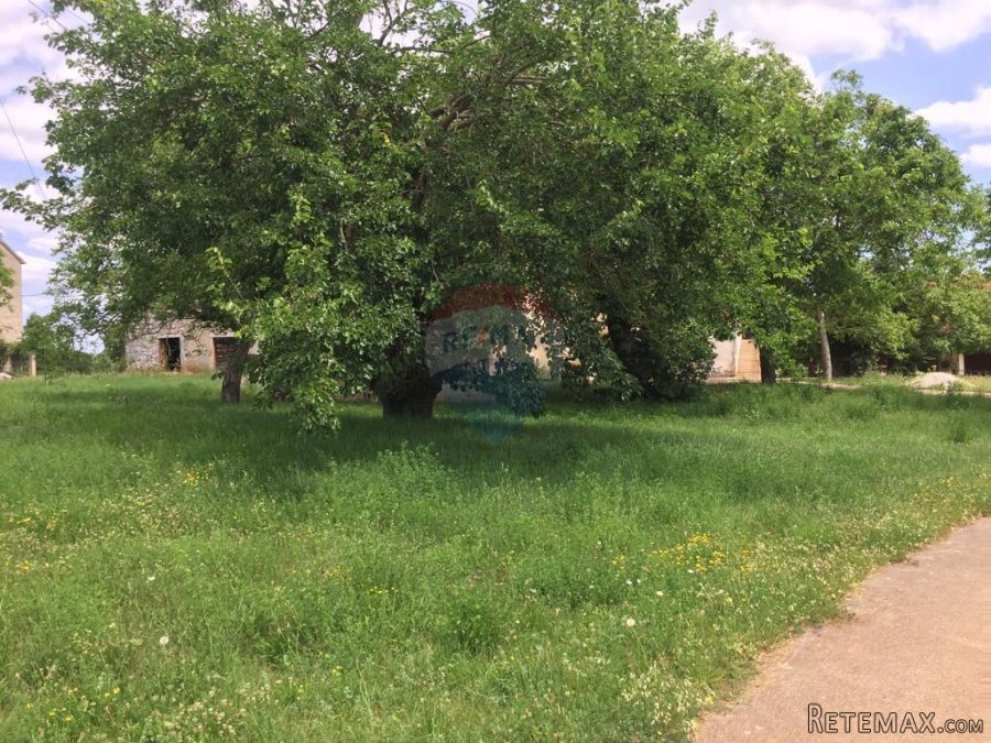 Istra,Sveti Vital ,kompleks građevinskih i poljoprivrednih - 2