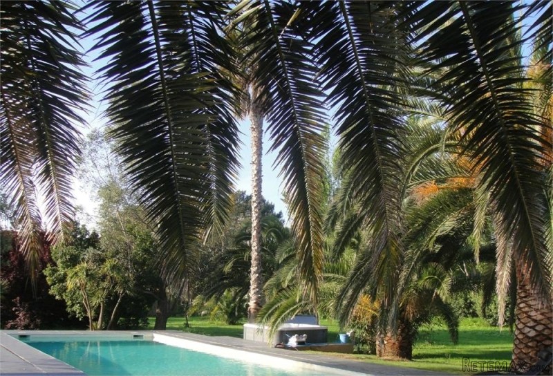 Exceptional Bed And Breakfast Property.. - 2