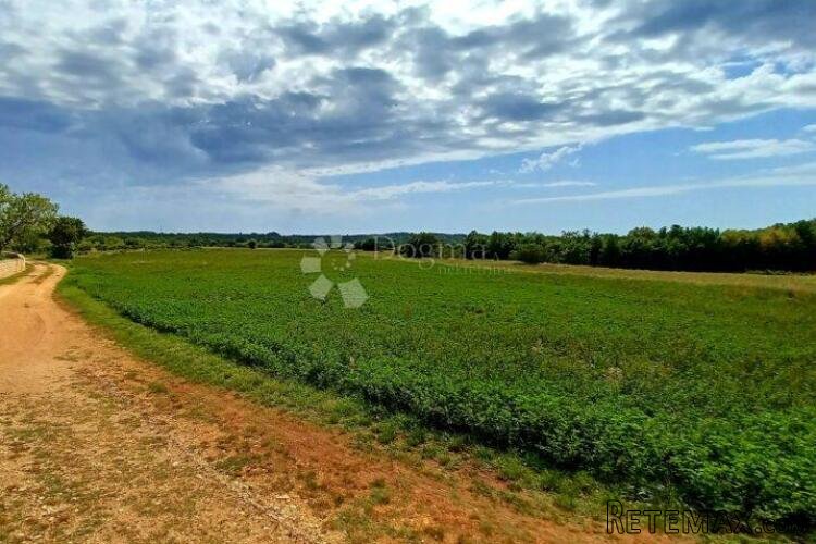 Oranice u Manjadvorcima 23.775 m2