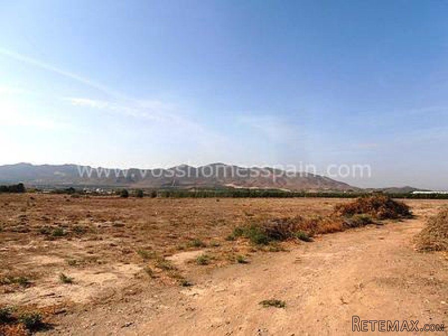 This is a lovely, old cortijo with many outbuildings.. - 3