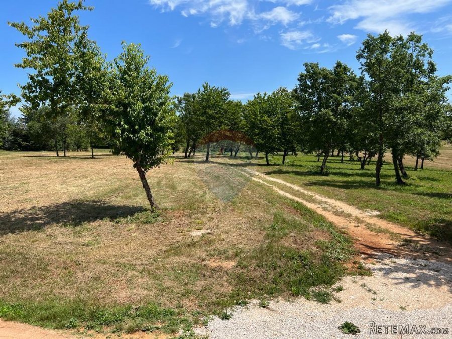 Istra,Sveti Vital ,kompleks građevinskih i poljoprivrednih - 4
