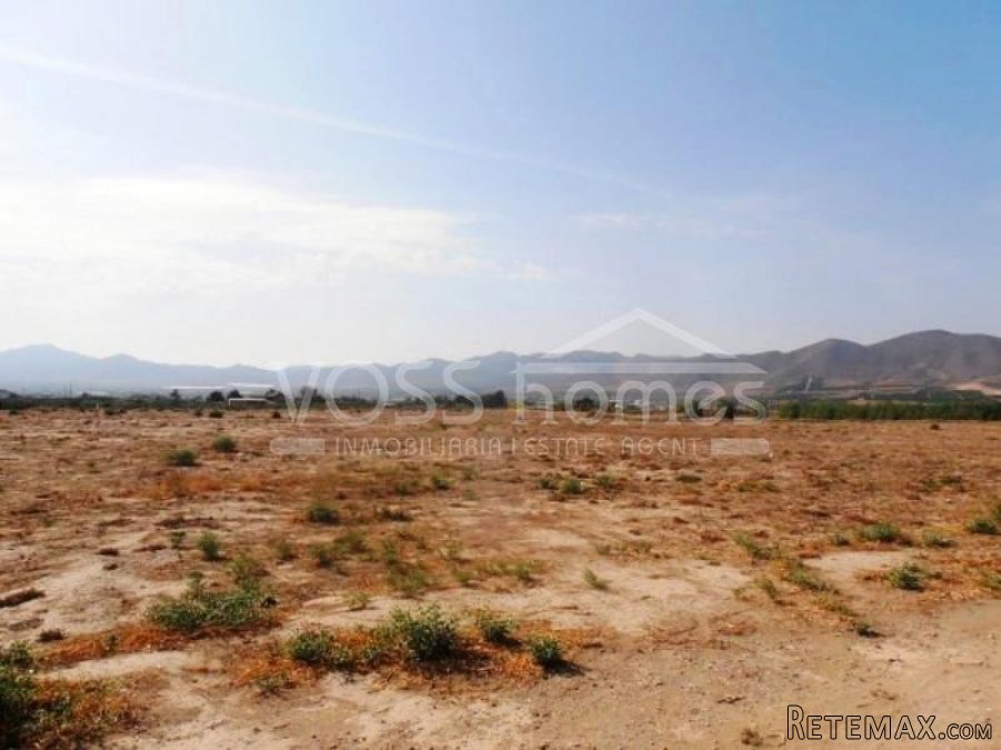 This is a lovely, old cortijo with many outbuildings.. - 4