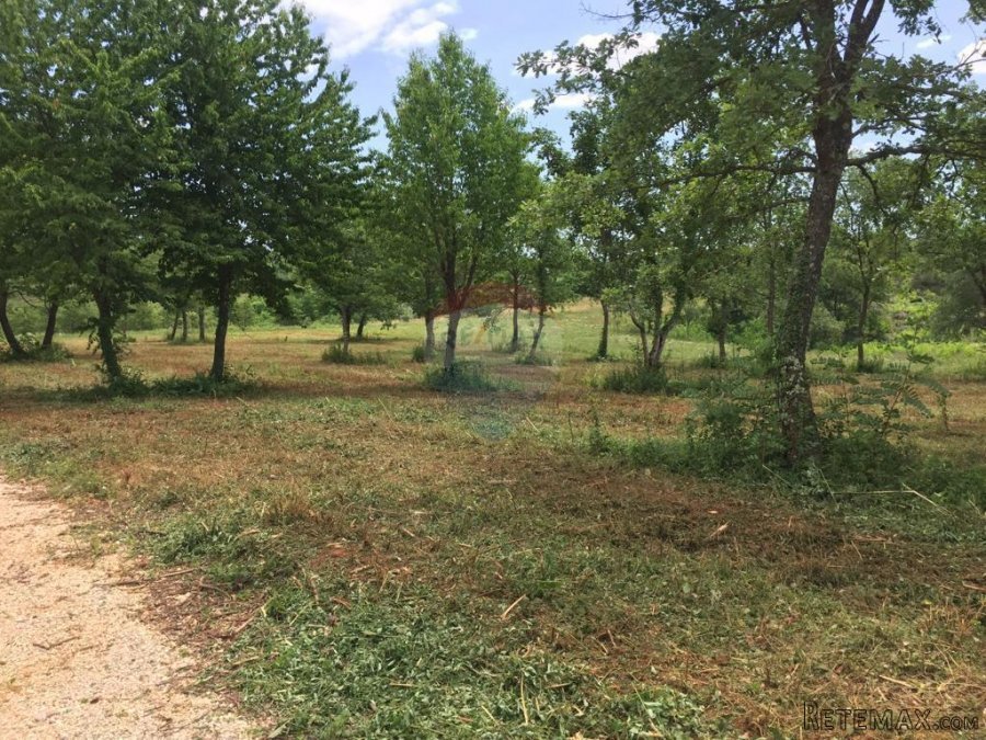 Istra,Sveti Vital ,kompleks građevinskih i poljoprivrednih - 5