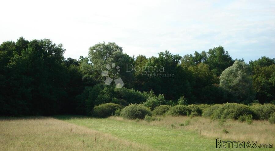 Poljoprivredno zemljište -Šuma 14.829 m2