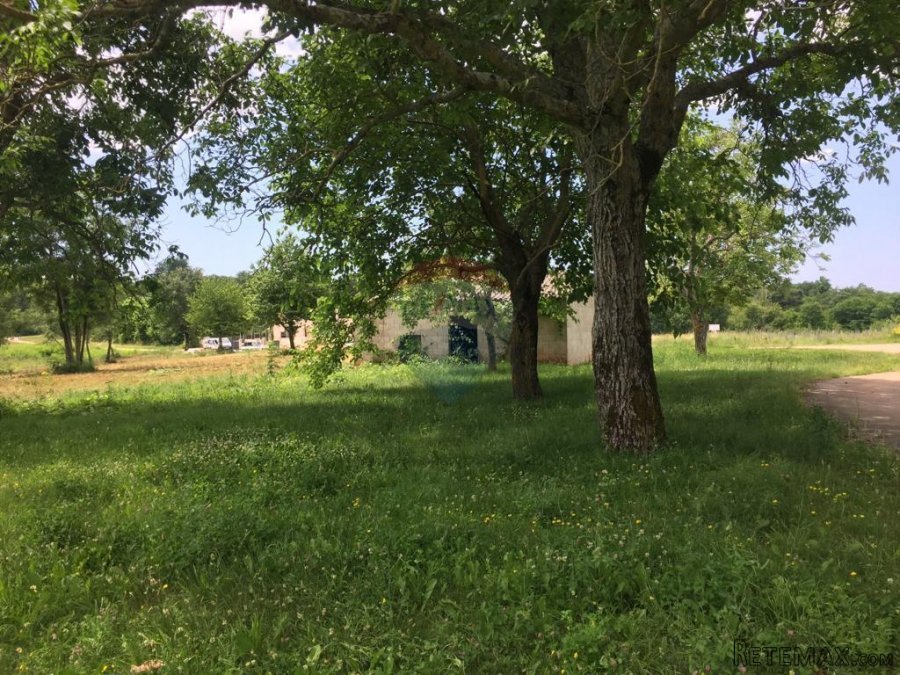 Istra,Sveti Vital ,kompleks građevinskih i poljoprivrednih - 6