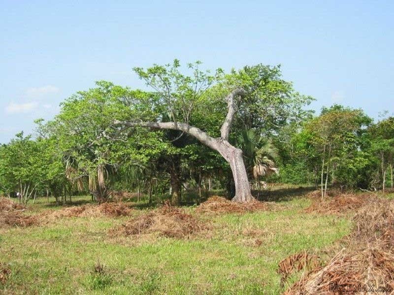 Cabarete Hacienda Style Lot For Sale - 2