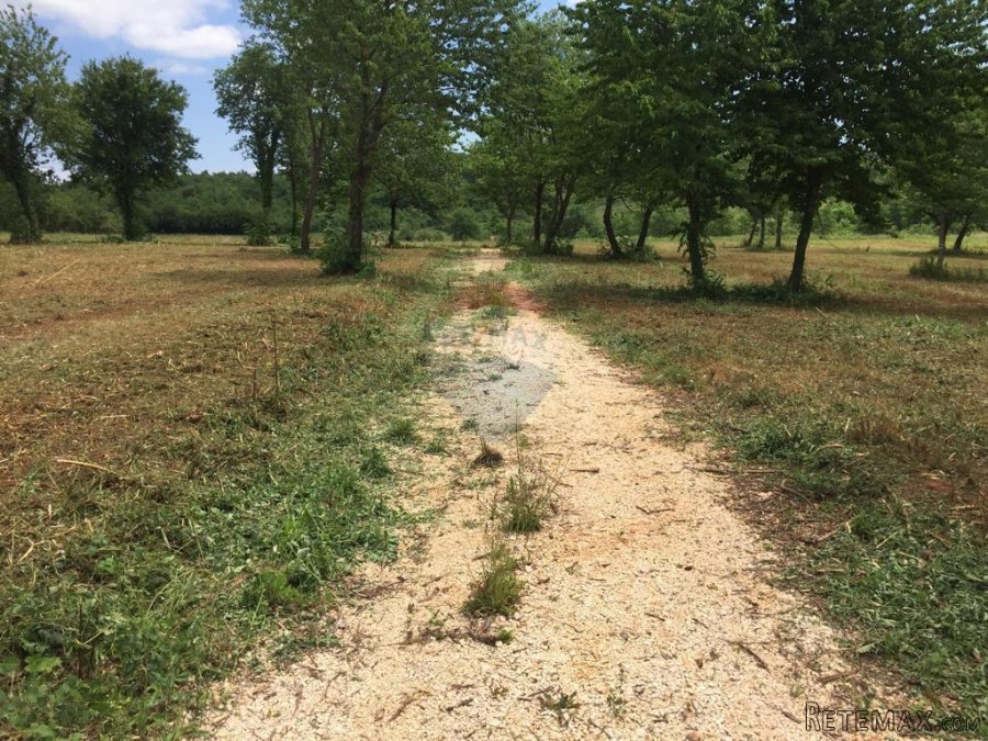 Istra,Sveti Vital ,kompleks građevinskih i poljoprivrednih - 7