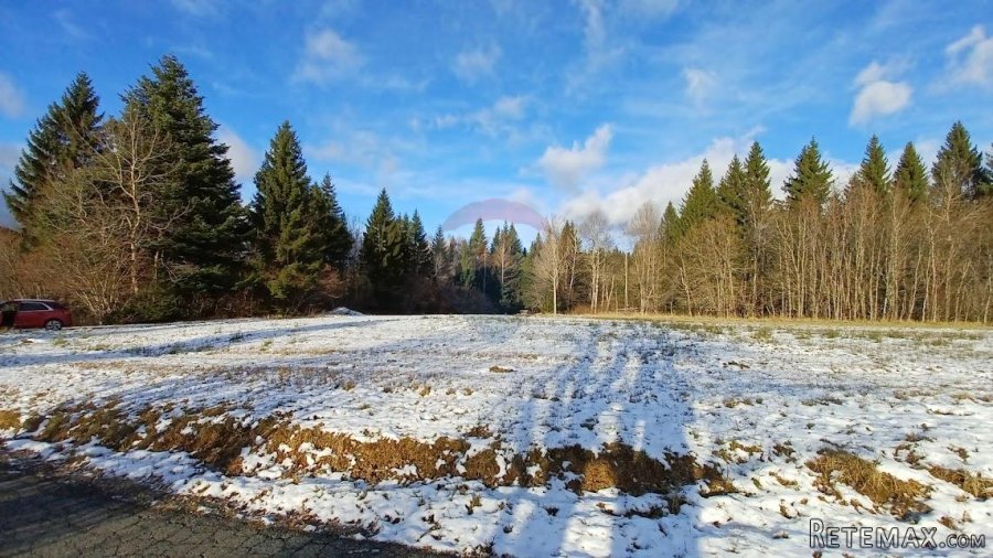 Kupjak - građevinski teren 8207 m2 - 3