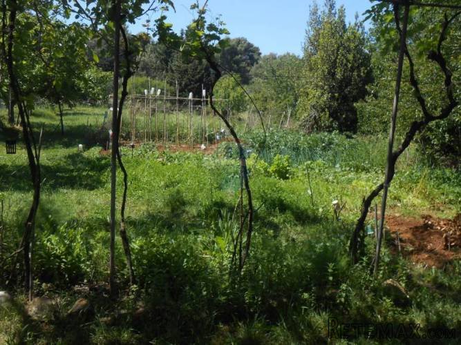 Istra, Pula, Premantura, atraktivno građevinsko... - 4