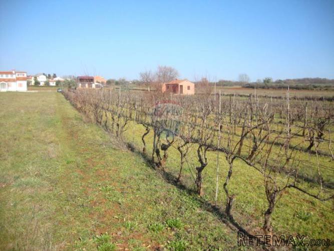 ISTRA, MUNTIĆ, građevinsko zemljište - 2
