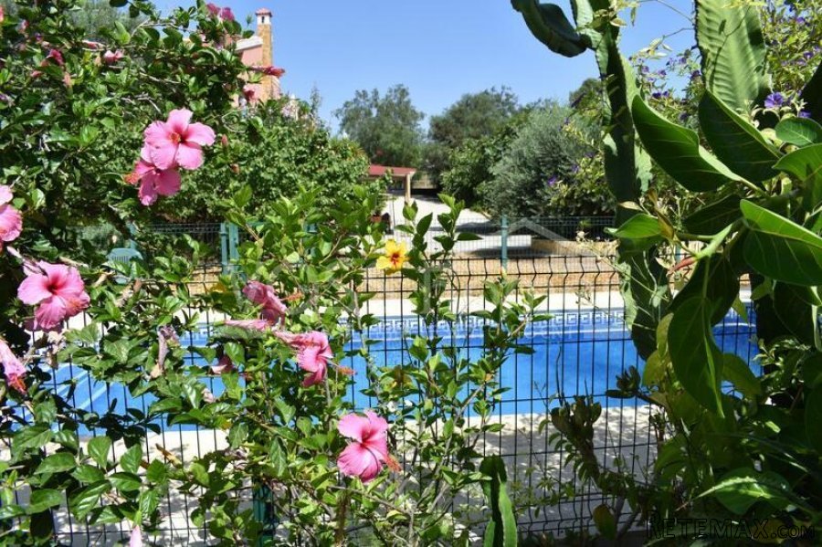 Huge two storey villa of 257m2 with 8m x 4m swimming pool.. - 9
