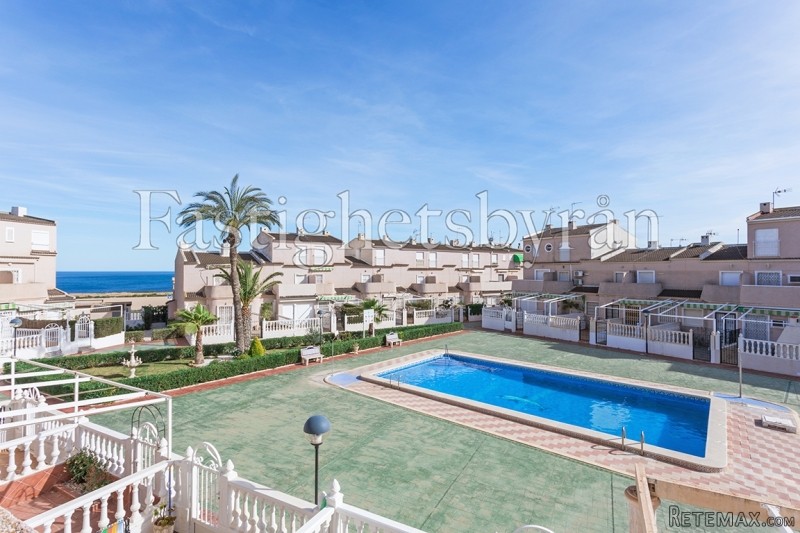 Mil Palmeras |Torrevieja