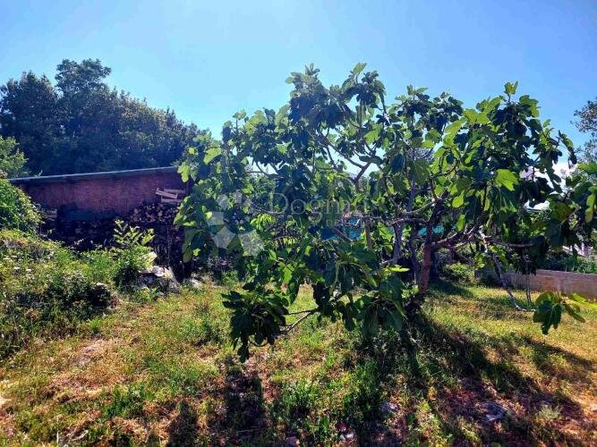 GRAD KRK, ATRAKTIVNO ZEMLJIŠTE 500 M OD MORA - 2