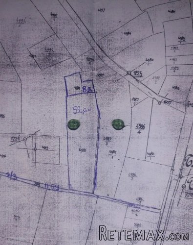 Prodajem zasad lesnika - 5