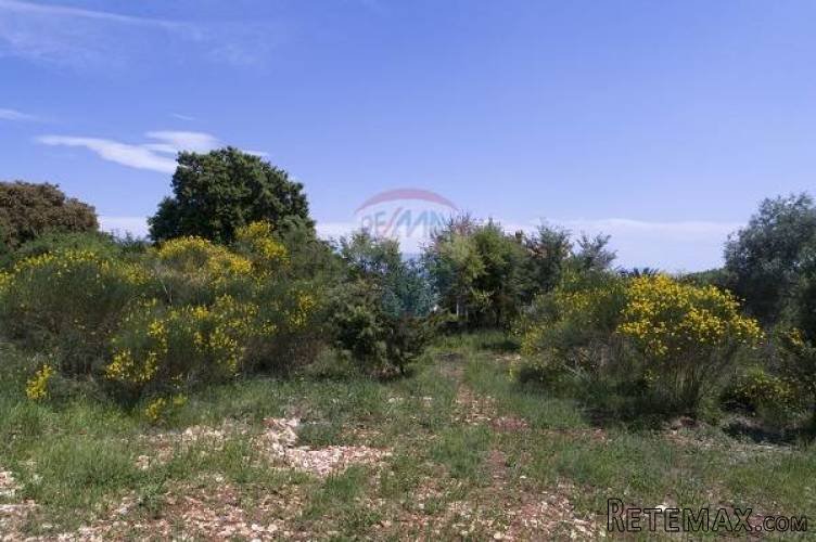 Istra,Ližnjan, građevinsko zemljište 1100m2