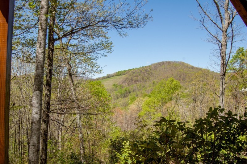 Ridgetop NC Mountain Retreat - 2