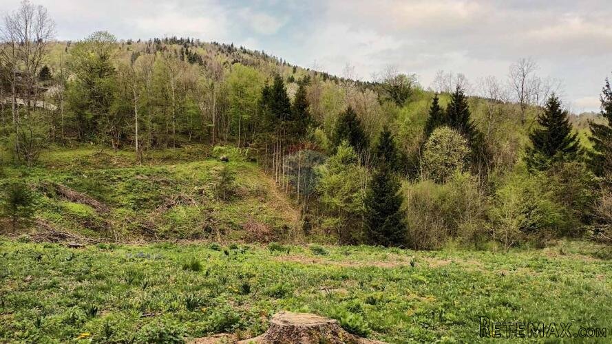 Gorski kotar, Vrbovsko - Prekrasno zemljište okruženo šumom - 2