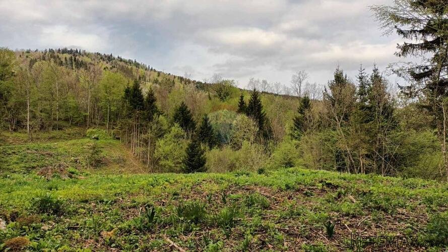 Gorski kotar, Vrbovsko - Prekrasno zemljište okruženo šumom - 3