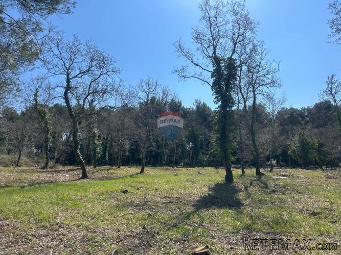 Višnjan, veliko građevinsko zemljište sa pogledom na more - 3