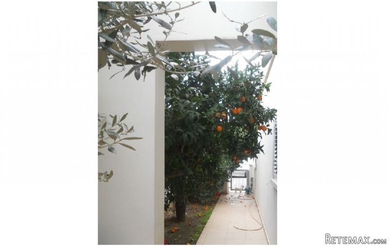 4 BEDROOM GROUND FLOOR APARTMENT IN.. - 2