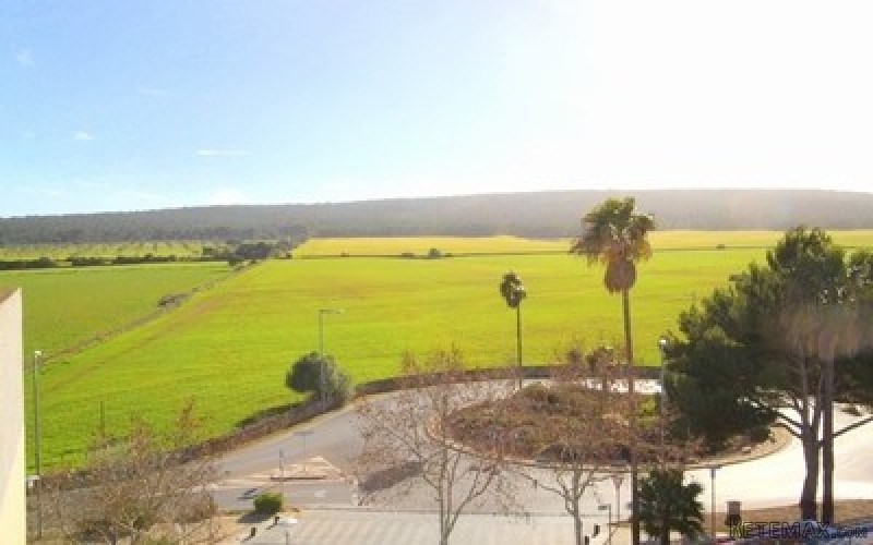 IP3-979 - Apartment For sale in Son..