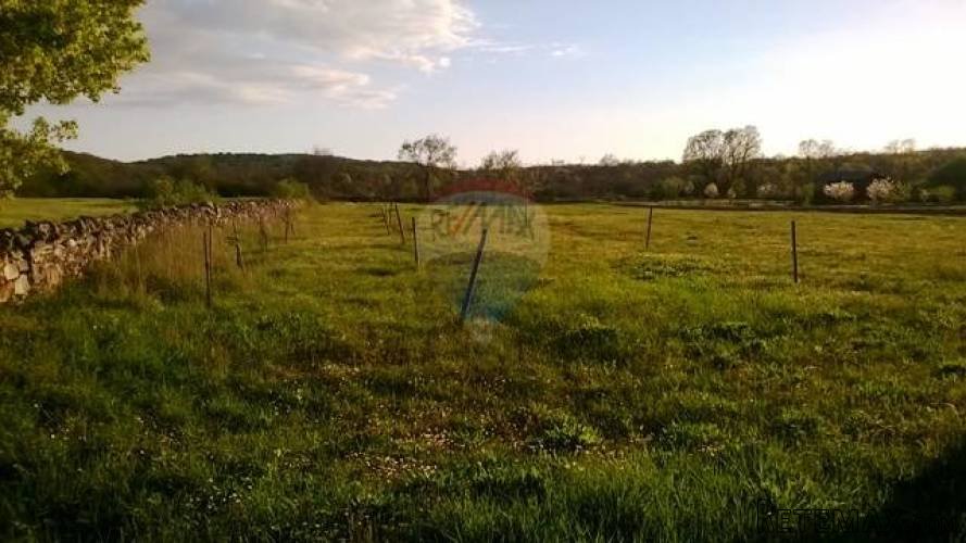 ISTRA, KRMED, poljoprivredno zemljište s drvenom kućicom - 3