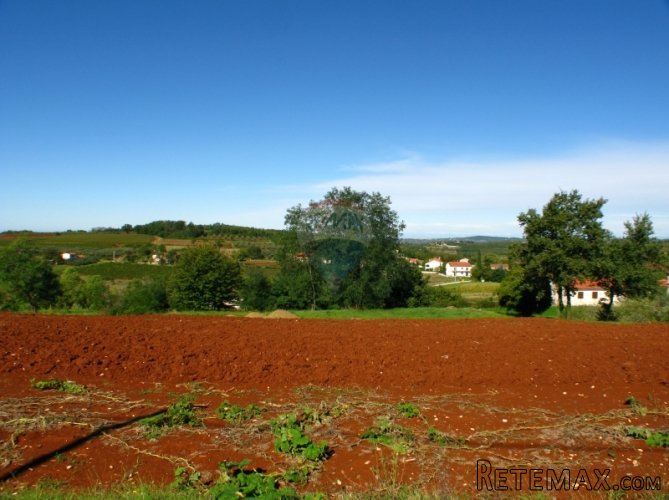 VIŽINADA, GRAĐEVINSKA PARCELA 5000 M2 S PREKRASNIM POGLEDOM - 2