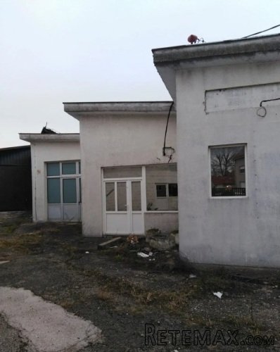 Prodajem ili izdajem halu - 2
