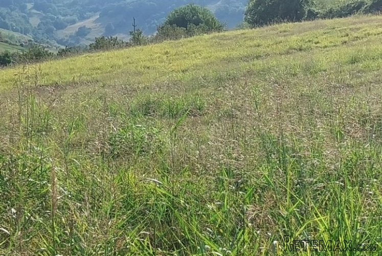 Placevi na prodaju Beočin-Šakotinac - 5