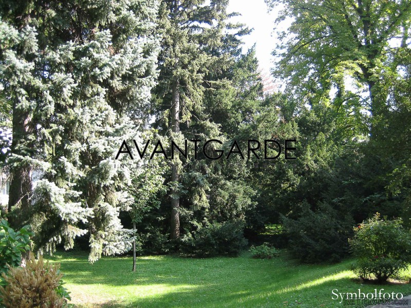 Plot in Dobling with building permit