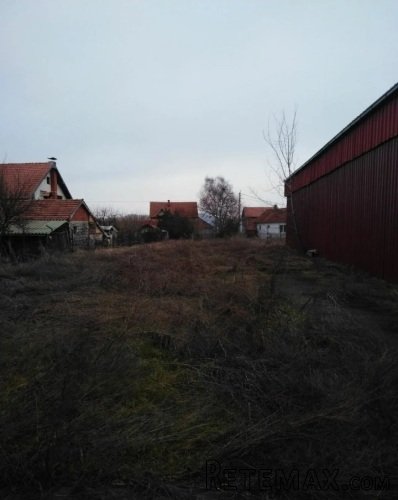 Prodajem ili izdajem halu - 6