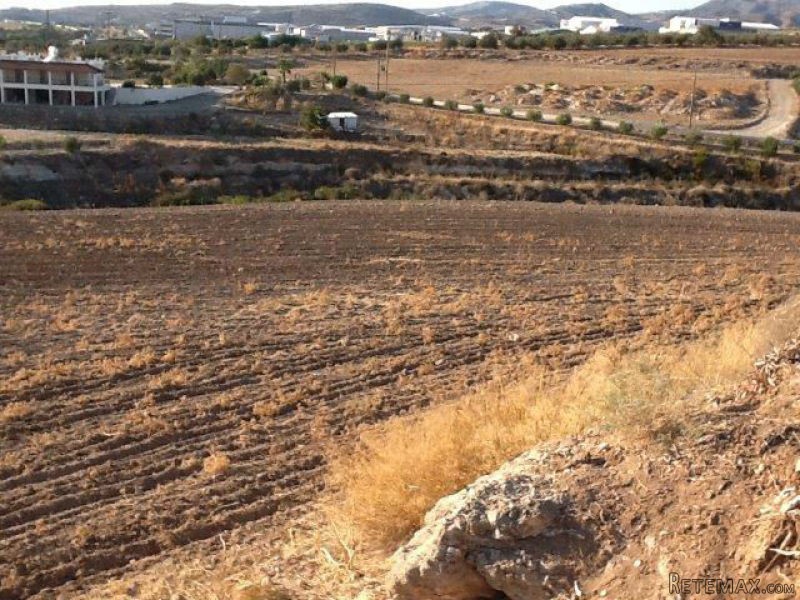 Land - Paphos - For Sale - 2