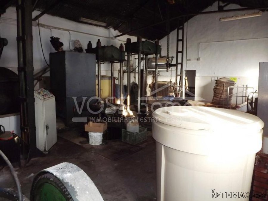 Large old olive press with garage / out buildings in a.. - 3