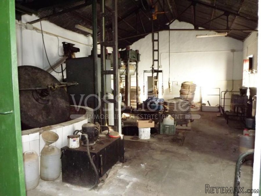 Large old olive press with garage / out buildings in a.. - 4
