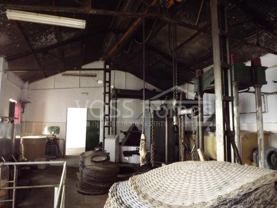Large old olive press with garage / out buildings in a.. - 6