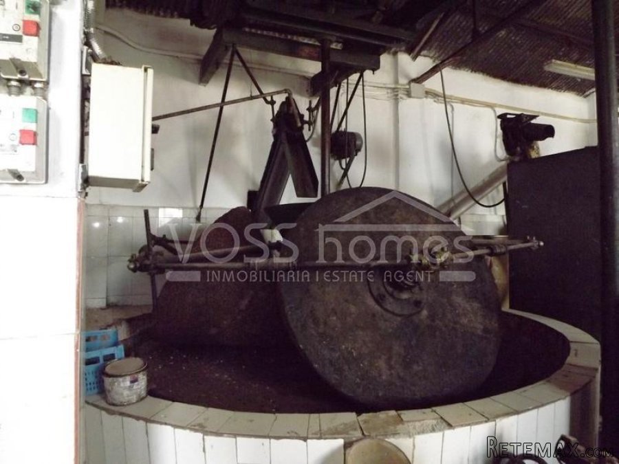 Large old olive press with garage / out buildings in a.. - 10