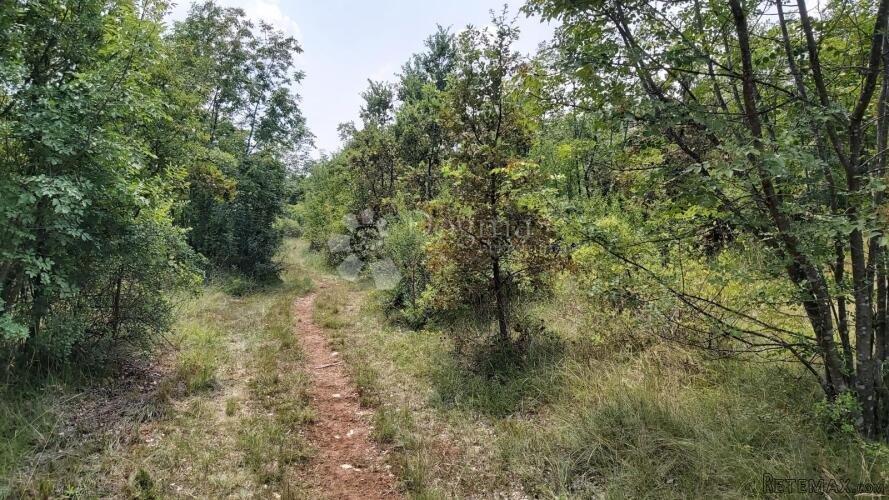 Prostrano zemljište pravilnog oblika na kraju sela