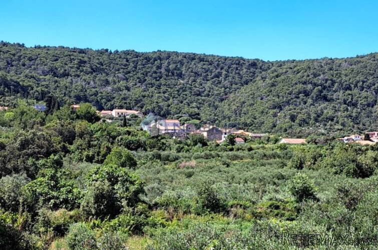 Hvar, Dol, kamena kuća 122 m2 - 11