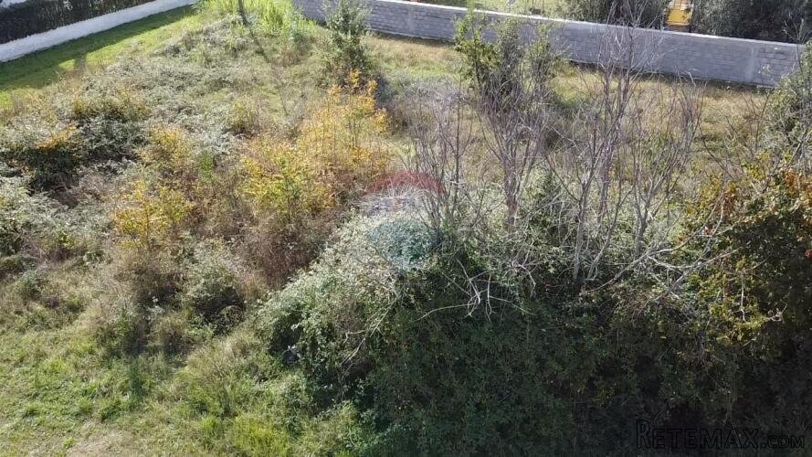 Istra, Tar- Građevinsko zemljište 300 metara do centra - 5