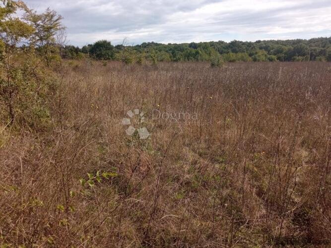 2,5 ha zemljišta na odličnoj lokaciji - 3