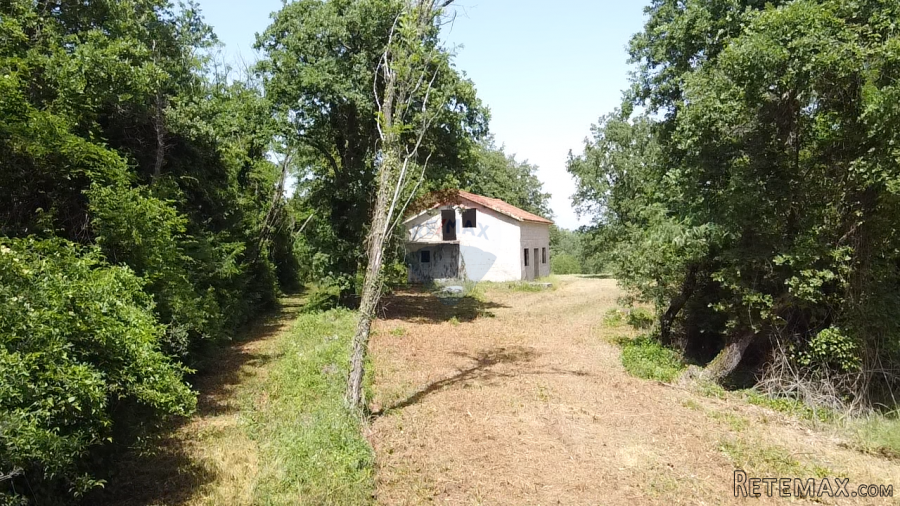 Istra, Višnjan - Samostojeća kuća sa 4900 m2 okućnice